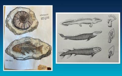 Students Bring Evolution to Life Through Creativity, Exploration and Curiosity