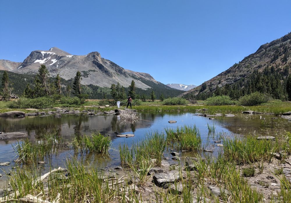 As Snowpack Shrinks, Sierra Nevada Mountain Ponds Undergo Dramatic Change